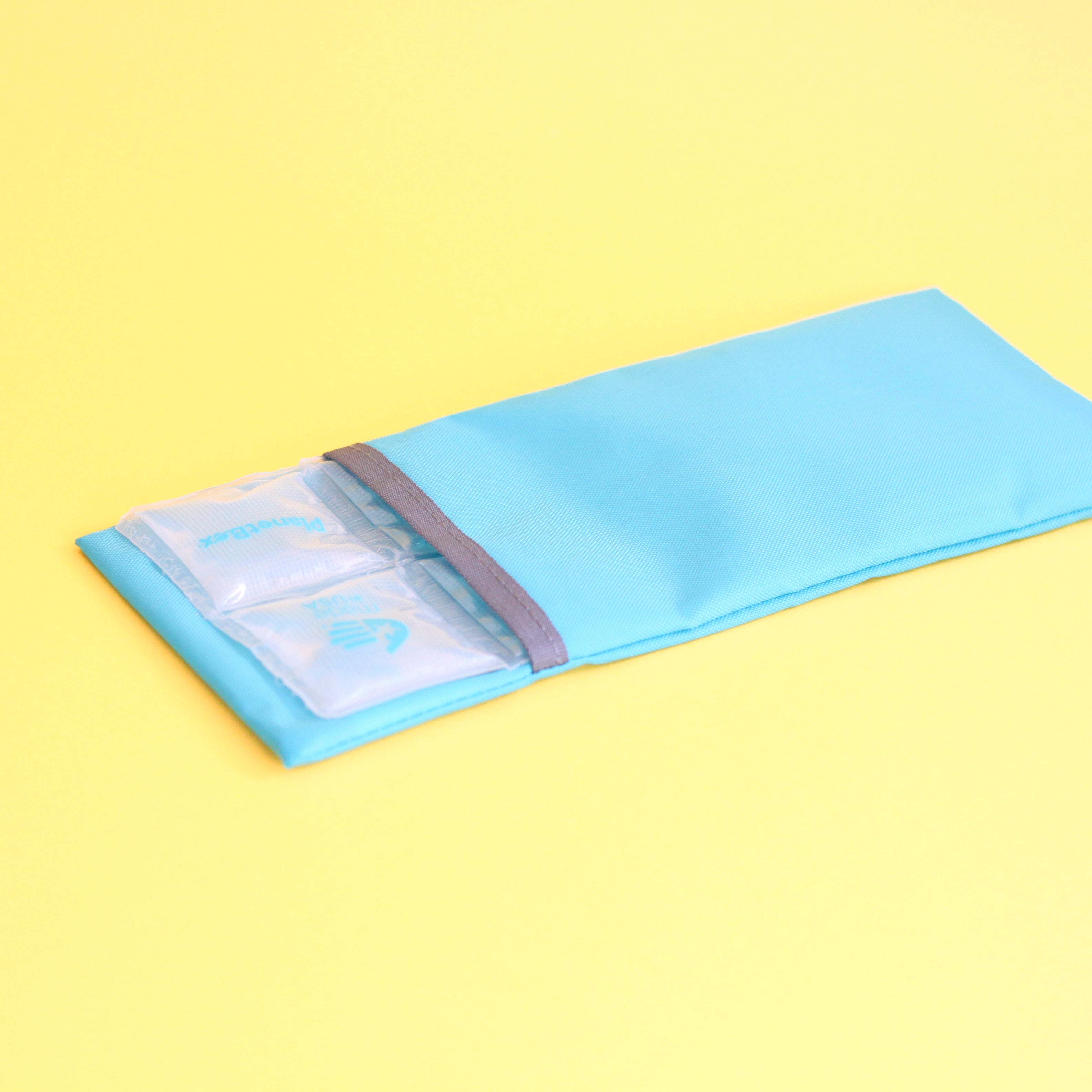 PlanetBox Ice Pack